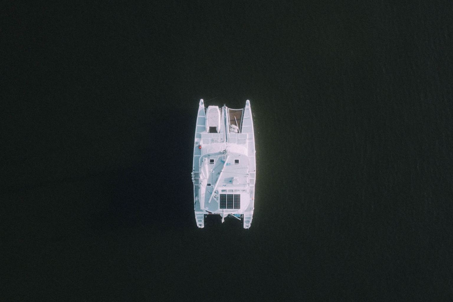 Leopard 40