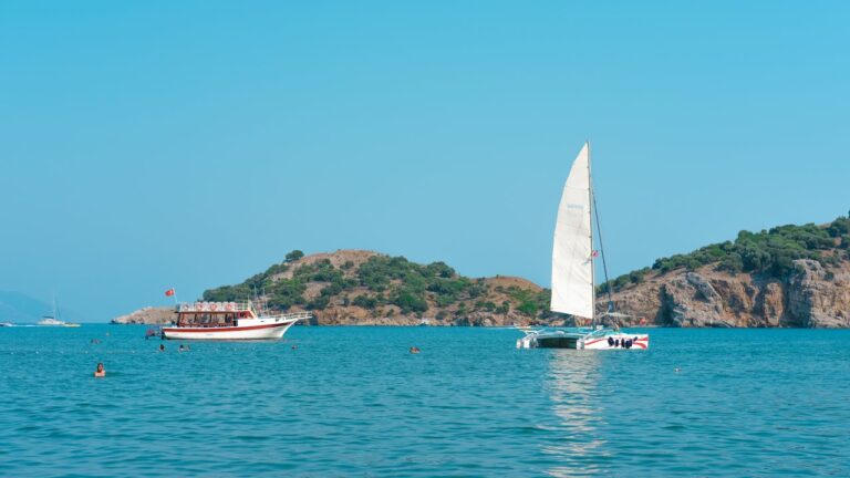 pexels photo 33053157.jpeg