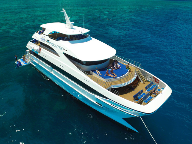 tplv be4g95zd3a imagebook