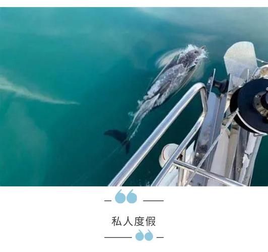 新帆船去哪买最划算?热门目的地成本对比,新手必看 2 new sailboats for sale destination cost_new sailboats for sale destination cost_new sailboats for sale destination cost